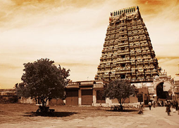 South India Temples Tour